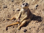 Avatar de l’utilisateur