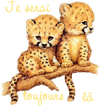 Avatar de l’utilisateur
