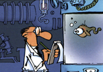 Avatar de l’utilisateur